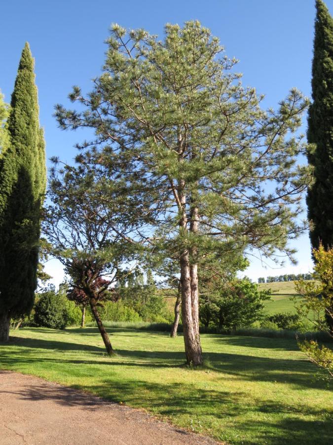 Nature'S Pace Holidays Montmaur  Экстерьер фото