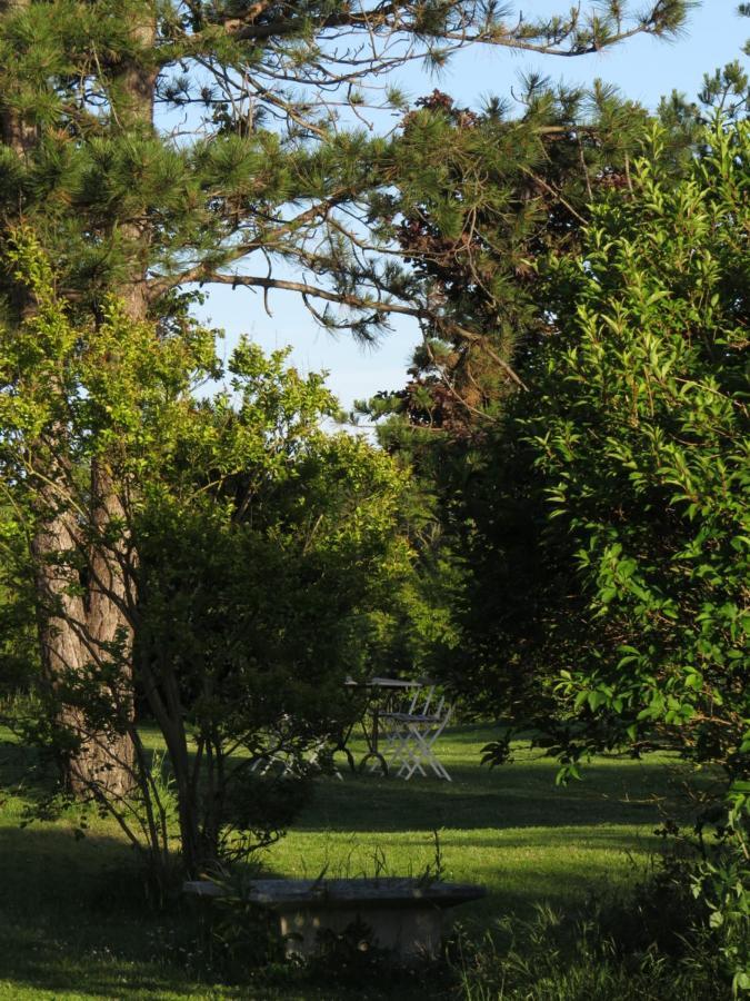 Nature'S Pace Holidays Montmaur  Экстерьер фото